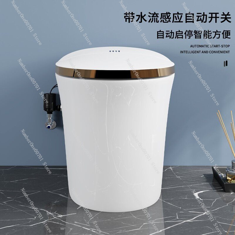 Smart Toilet Booster Pump Auto - Home Bathroom Pressure Pump ulasan dan harga
