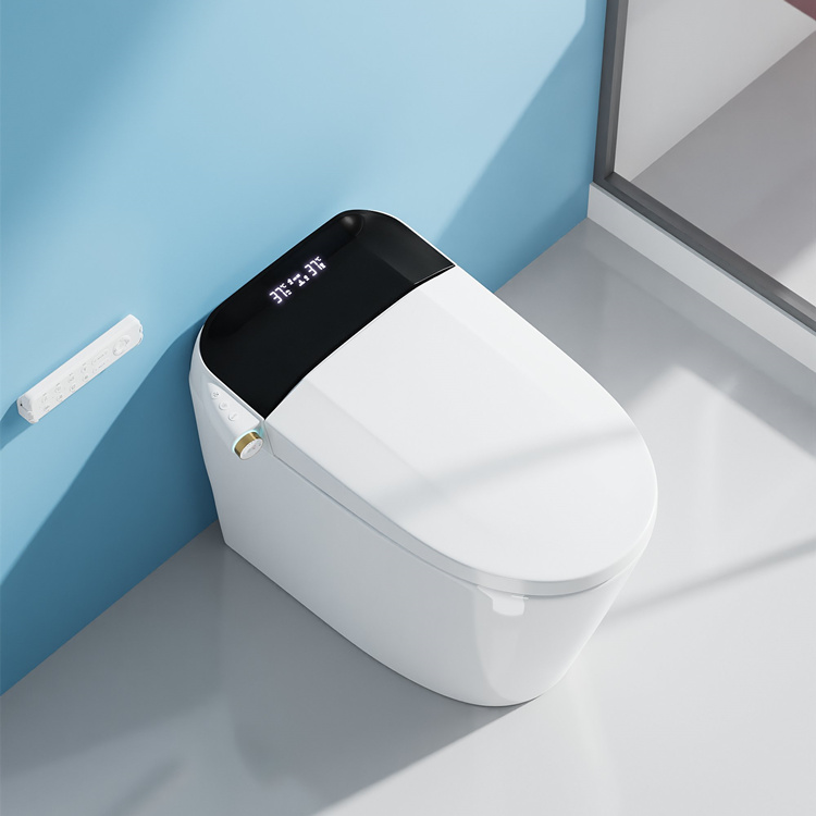 Home Decoration Bathroom Smart - Home Bathroom Toilet ulasan dan harga