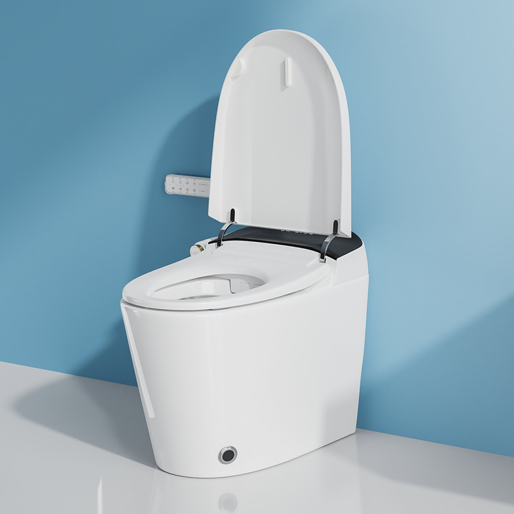 Home Decoration Bathroom Smart - Home Bathroom Toilet ulasan dan harga