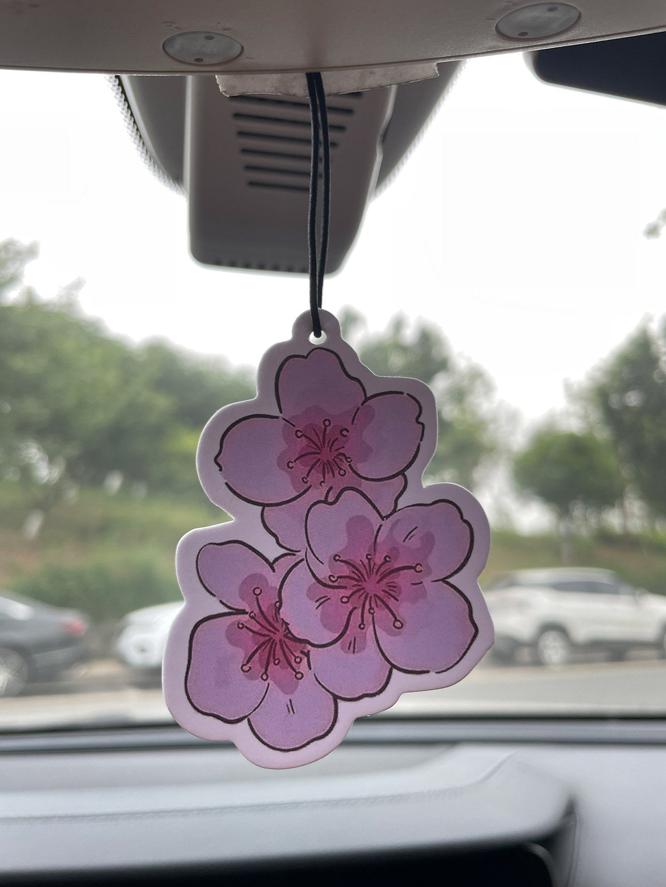 Sakura/Freesia Fresh Scent Fiv - Bathroom Home Essentials Store ulasan dan harga