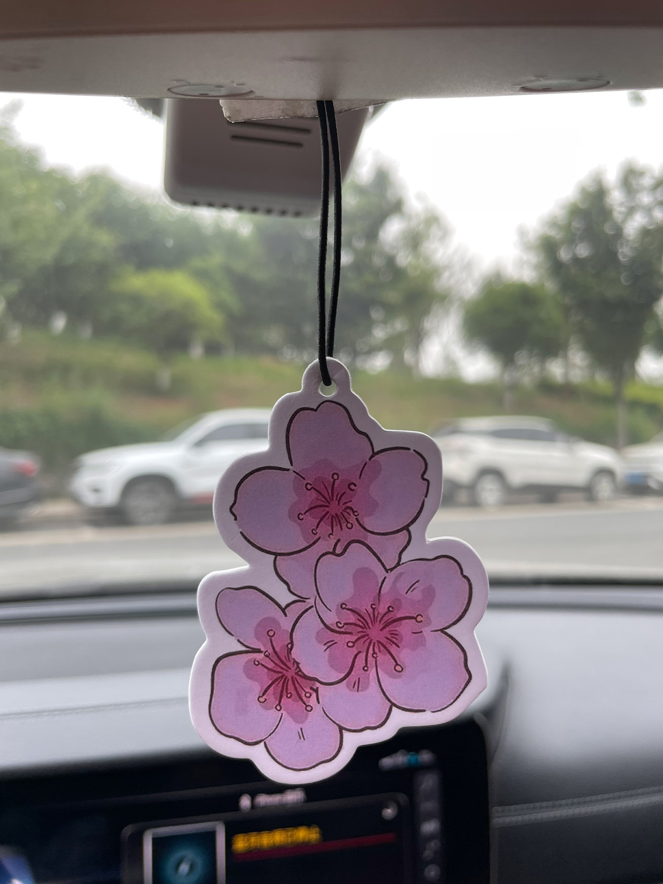 Sakura/Freesia Fresh Scent Fiv - Bathroom Home Essentials Store ulasan dan harga